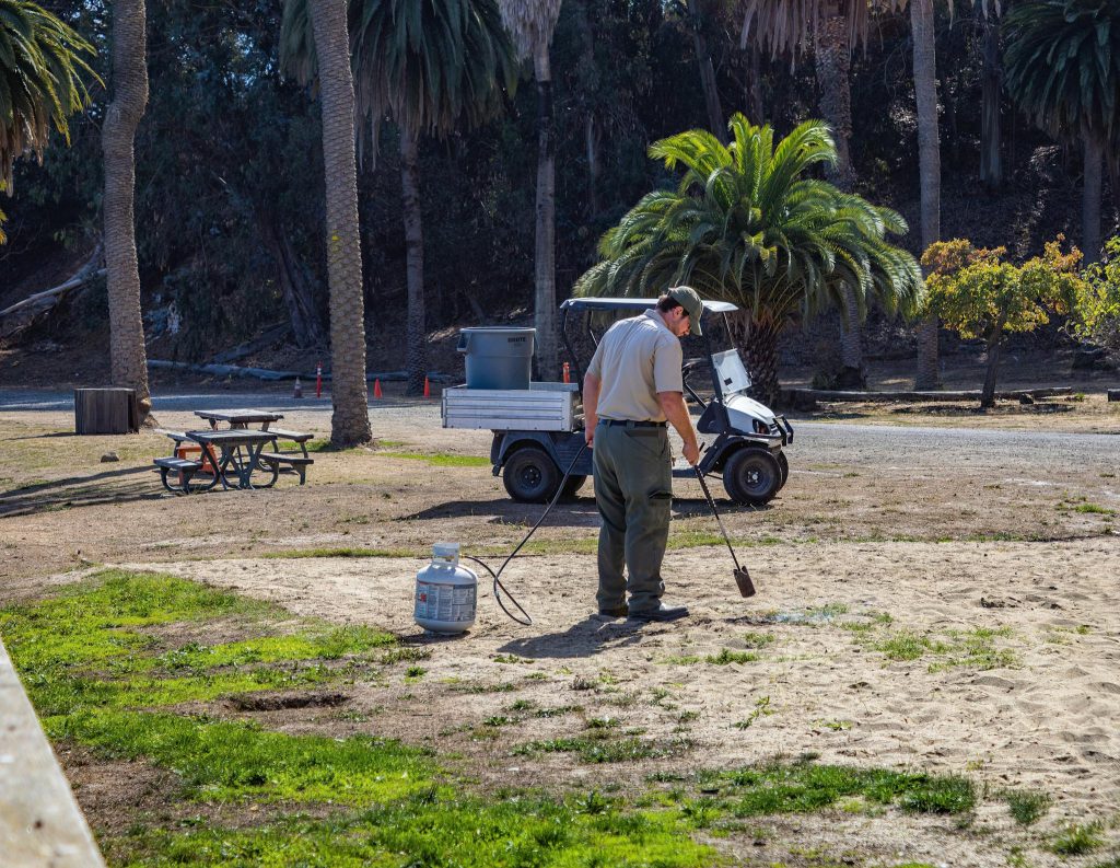 landscaping, lawncare , pest control ,tree services